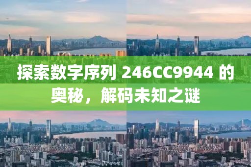 探索数字序列 246CC9944 的奥秘，解码未知之谜