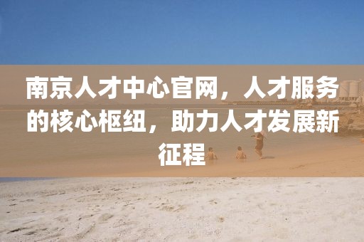 南京人才中心官网，人才服务的核心枢纽，助力人才发展新征程