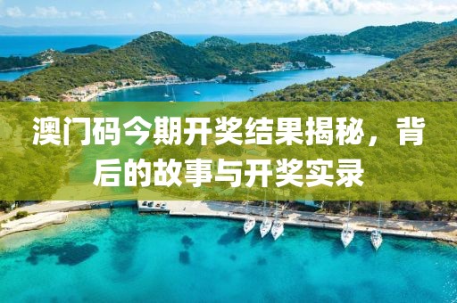 澳门码今期开奖结果揭秘，背后的故事与开奖实录