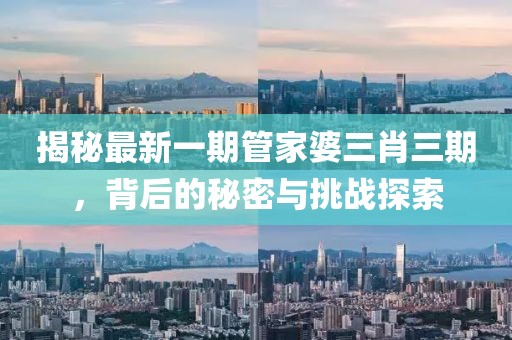 揭秘最新一期管家婆三肖三期，背后的秘密与挑战探索