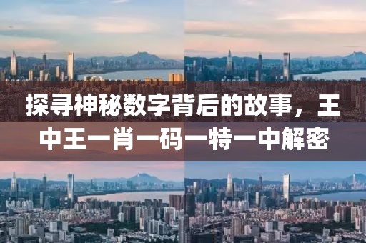 探寻神秘数字背后的故事，王中王一肖一码一特一中解密
