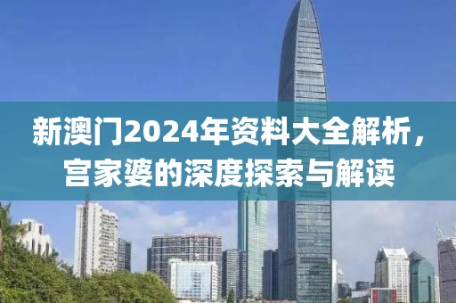 新澳门2024年资料大全解析，宫家婆的深度探索与解读