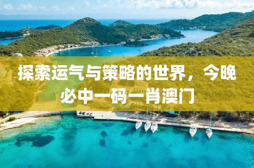 探索运气与策略的世界，今晚必中一码一肖澳门