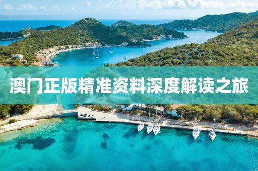 澳门正版精准资料深度解读之旅
