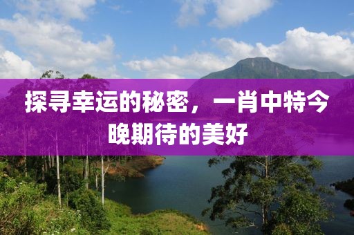 探寻幸运的秘密，一肖中特今晚期待的美好