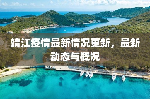 靖江疫情最新情况更新，最新动态与概况