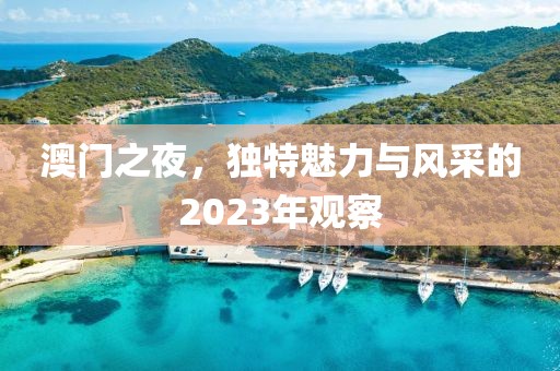 澳门之夜，独特魅力与风采的2023年观察