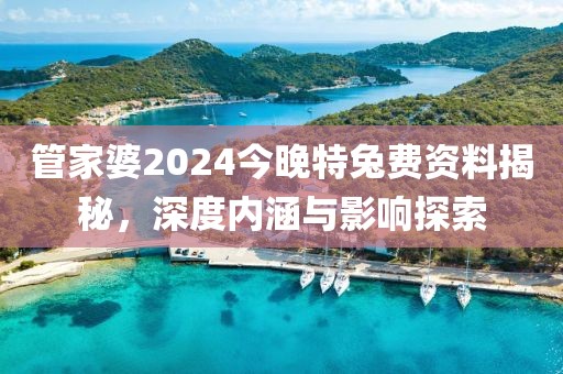 管家婆2024今晚开特兔费资料
