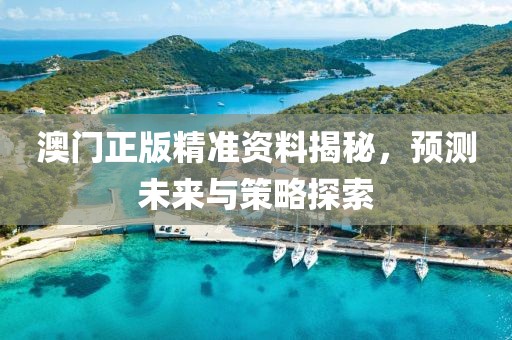 澳门正版精准资料揭秘，预测未来与策略探索