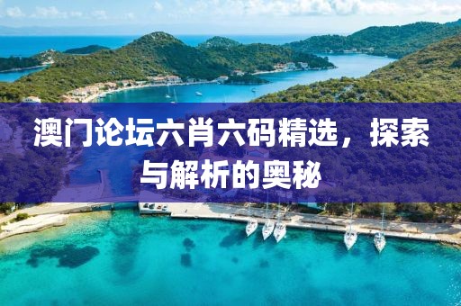 澳门论坛六肖六码精选，探索与解析的奥秘