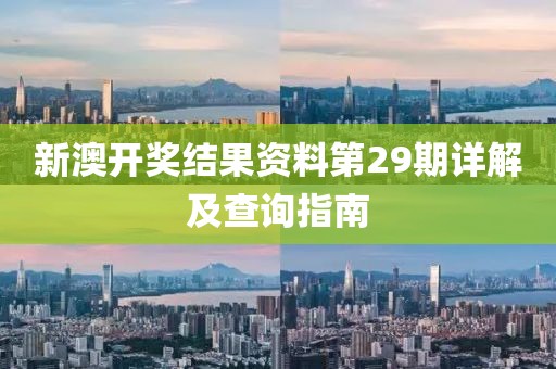 新澳开奖结果资料第29期详解及查询指南