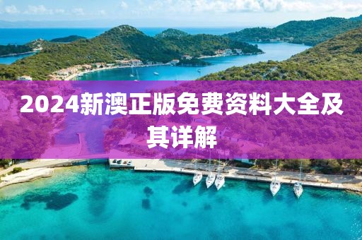 2024新澳正版免费资料大全及其详解