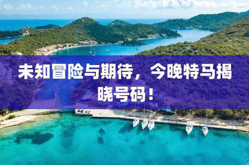 未知冒险与期待，今晚特马揭晓号码！