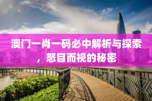 澳门一肖一码必中解析与探索，怒目而视的秘密