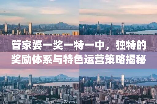 管家婆一奖一特一中，独特的奖励体系与特色运营策略揭秘