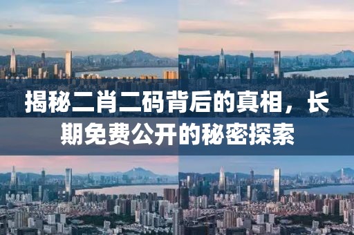 揭秘二肖二码背后的真相，长期免费公开的秘密探索