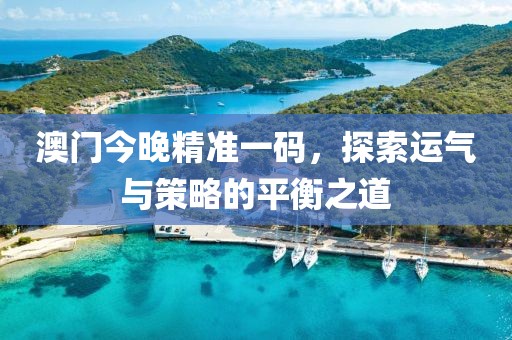 澳门今晚精准一码，探索运气与策略的平衡之道
