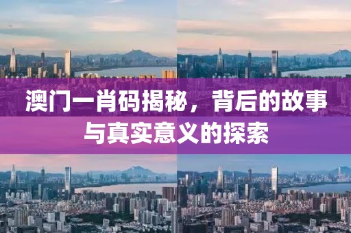 澳门一肖码揭秘，背后的故事与真实意义的探索