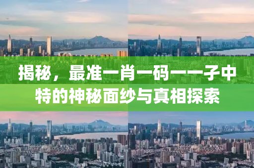 揭秘，最准一肖一码一一孑中特的神秘面纱与真相探索