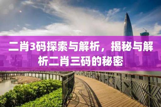 二肖3码探索与解析，揭秘与解析二肖三码的秘密