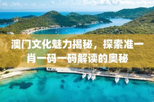 2023澳门准一肖一码一码