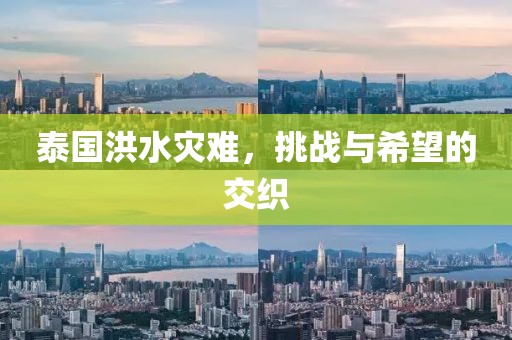泰国洪水灾难，挑战与希望的交织