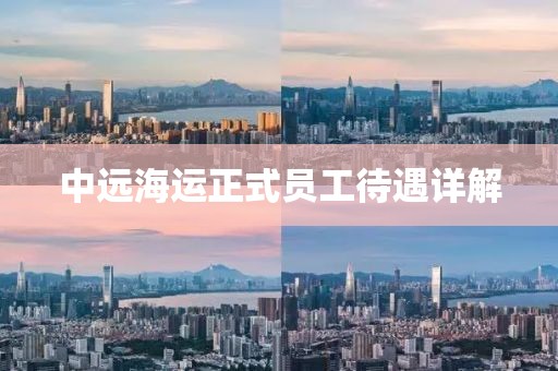 中远海运正式员工待遇详解