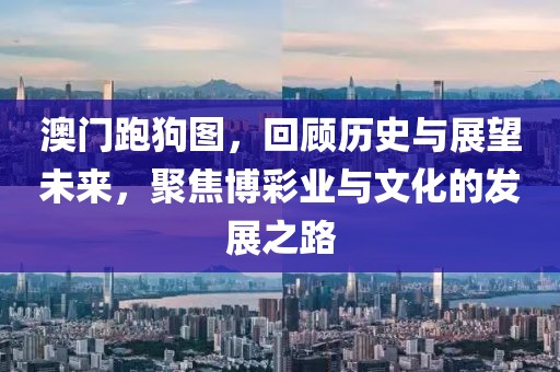 澳门跑狗图，回顾历史与展望未来，聚焦博彩业与文化的发展之路