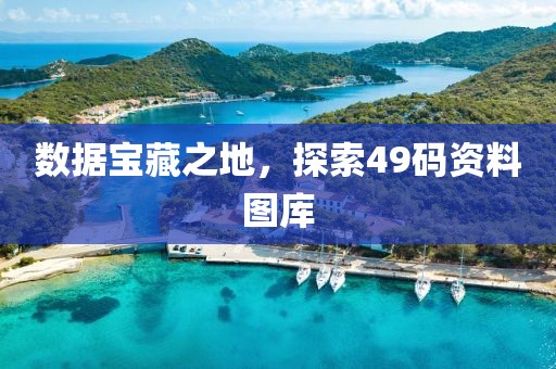 数据宝藏之地，探索49码资料图库