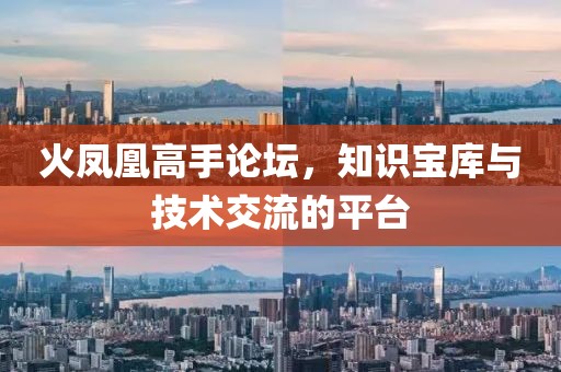 火凤凰高手论坛，知识宝库与技术交流的平台
