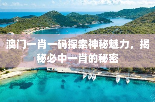 澳门一肖一码探索神秘魅力，揭秘必中一肖的秘密