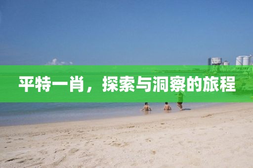 平特一肖，探索与洞察的旅程