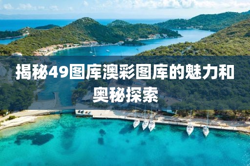 揭秘49图库澳彩图库的魅力和奥秘探索