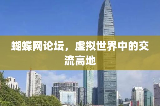 蝴蝶网论坛，虚拟世界中的交流高地
