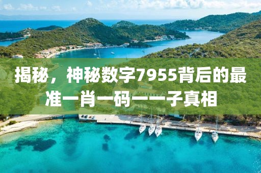 揭秘，神秘数字7955背后的最准一肖一码一一子真相