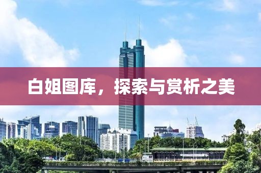 白姐图库，探索与赏析之美