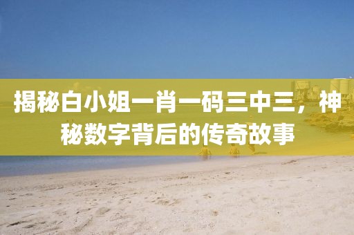 揭秘白小姐一肖一码三中三，神秘数字背后的传奇故事