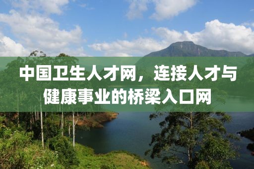 中国卫生人才网，连接人才与健康事业的桥梁入口网