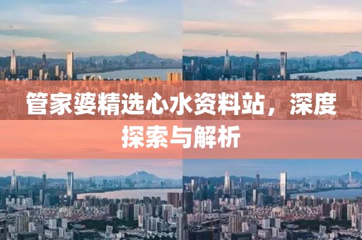 管家婆精选心水资料站，深度探索与解析