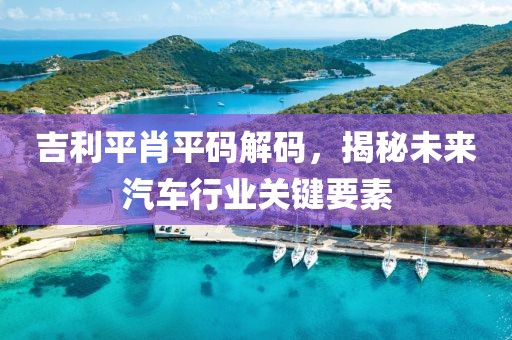 吉利平肖平码解码，揭秘未来汽车行业关键要素