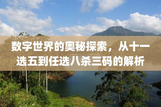 数字世界的奥秘探索，从十一选五到任选八杀三码的解析