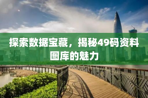 探索数据宝藏，揭秘49码资料图库的魅力