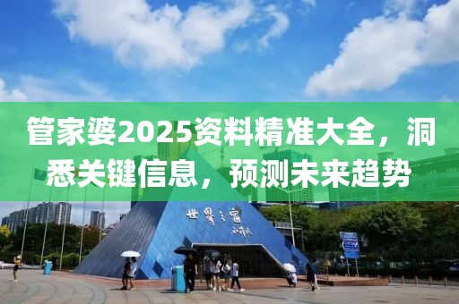 管家婆2025资料精准大全，洞悉关键信息，预测未来趋势