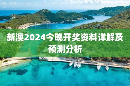 新澳2024今晚开奖资料详解及预测分析