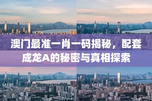 澳门最准一肖一码揭秘，配套成龙A的秘密与真相探索
