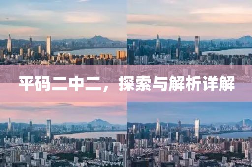 平码二中二，探索与解析详解