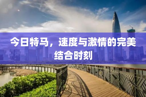 今日特马，速度与激情的完美结合时刻
