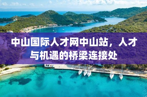 中山国际人才网中山站，人才与机遇的桥梁连接处