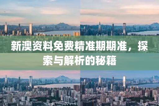 新澳资料免费精准期期准，探索与解析的秘籍