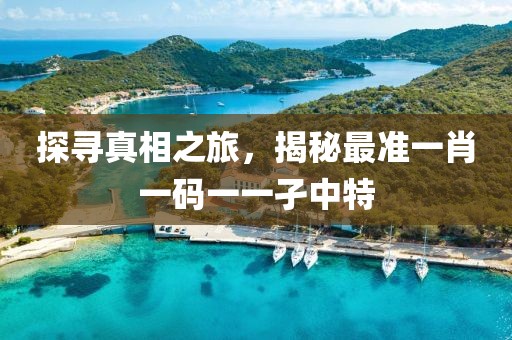探寻真相之旅，揭秘最准一肖一码一一孑中特